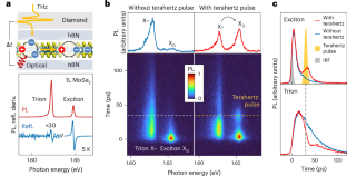 Ultrafast switching of trions in 2D materials by terahertz photons