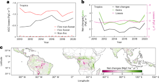 Satellite observations reveal the complex annual dynamics of tropical aboveground carbon