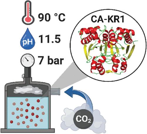 Biomimetic CO<sub>2</sub> Capture Unlocked through Enzyme Mining: Discovery of a Highly Thermo- and Alkali-Stable Carbonic Anhydrase.