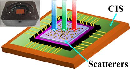 Miniaturized Spectroscopy Based on Lens-Free Speckle Image Encoding
