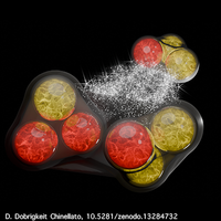 Exploring the Strong Interaction of Three-Body Systems at the LHC