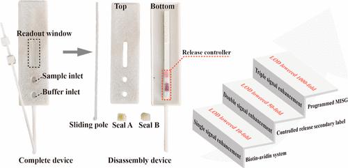 Universal All-In-One Lateral Flow Immunoassay with Triple Signal Amplification for Ultrasensitive and Simple Self-Testing of <i>Treponema pallidum</i> Antibodies.