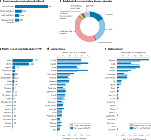 Soil and water pollution and cardiovascular disease