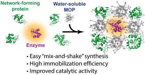 Enhancing Performances of Enzyme/Metal-Organic Polyhedra Composites by Mixed-Protein Co-Immobilization.