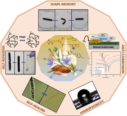 Microwave-Assisted Self-Healable Biovitrimer/rGO Framework for Anticorrosion Applications.