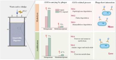 Investigating potential auxiliary anaerobic digestion activity of phage under polyvinyl chloride microplastic stress