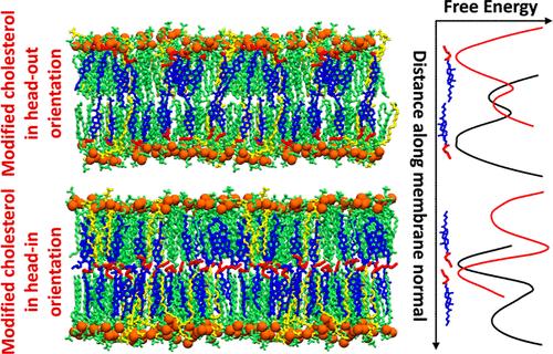 Probing the Origins of the Disorder-to-Order Transition of a Modified Cholesterol in Ternary Lipid Bilayers.