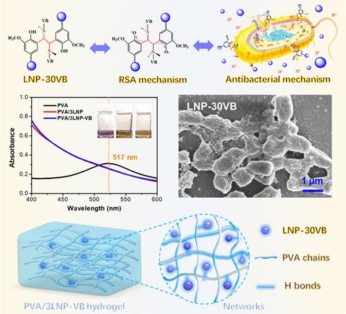 Grafting Vitamin B onto Lignin to Produce Highly Bioactive Materials for Wound Dressing Hydrogels