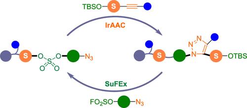 Harnessing IrAAC and SuFEx for the Efficient Synthesis of Sequence-Defined Oligomers with Diverse Side Groups