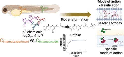 Impact of Biotransformation on Internal Concentrations and Specificity Classification of Organic Chemicals in the Zebrafish Embryo (<i>Danio rerio</i>).