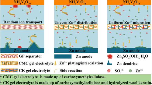 Carboxymethyl Cellulose Gel Electrolyte Based on Hydrolyzed Keratin Modified for Dendrite-Free Zinc-Ion Batteries