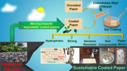 Water-Repelling and Reinforced Kraft Paper by Biobased Coating with Robustness, Compostability, and Mulching Potential