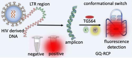 Unambiguous Detection of LTR-III G-Quadruplex in the HIV Genome Using a Tailored Fluorogenic Probe-based Assay.