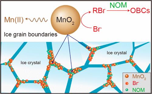 Simultaneous Oxidation of Bromide and Dissolution of Manganese Oxide Induced by Freezing