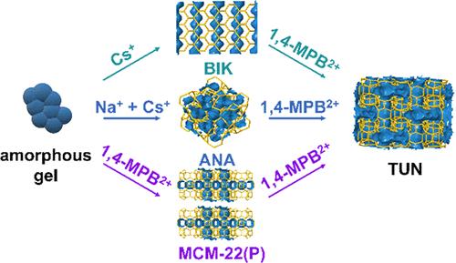 Capturing Different Intermediate Phases during Zeolite Synthesis.