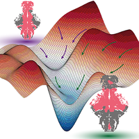 Spontaneous Brain Activity Emerges from Pairwise Interactions in the Larval Zebrafish Brain