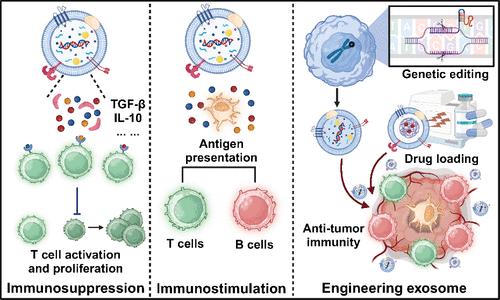 Tumor Microenvironment-Derived Exosomes: A Double-Edged Sword for Advanced T Cell-Based Immunotherapy