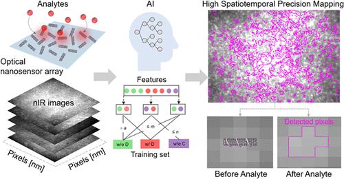 High Spatiotemporal Precision Mapping of Optical Nanosensor Array Using Machine Learning