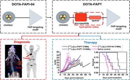 68Ga/177Lu-Labeled Theranostic Pair for Targeting Fibroblast Activation Protein with Improved Tumor Uptake and Retention