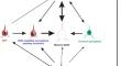 Regulated cell death in neurodegeneration: pathways and therapeutic horizons