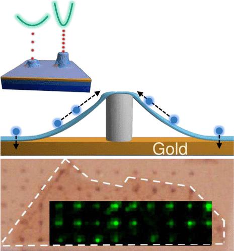 Simultaneously Enhancing Brightness and Purity of WSe2 Single Photon Emitter Using High-Aspect-Ratio Nanopillar Array on Metal