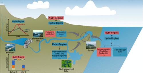 River Damming Impacts on Carbon Emissions Should Be Revisited in the Context of the Aquatic Continuum Concept