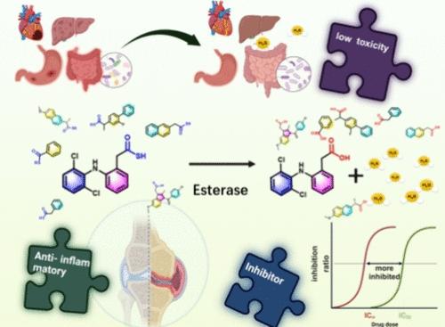 A Highly Atom-Efficient Prodrug Approach to Generate Synergy between H2S and Nonsteroidal Anti-inflammatory Drugs and Improve Safety