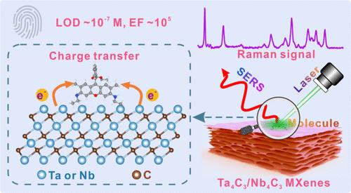 Photoinduced Charge Transfer Empowers Ta4C3 and Nb4C3 MXenes with High SERS Performance