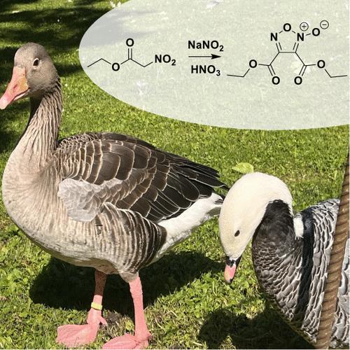 Economic, One-Pot Synthesis of Diethyl Furoxan Dicarboxylate