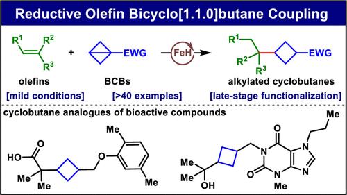 Reductive Olefin Bicyclo[1.1.0]butane Coupling Enabled by Iron Hydride Hydrogen Atom Transfer