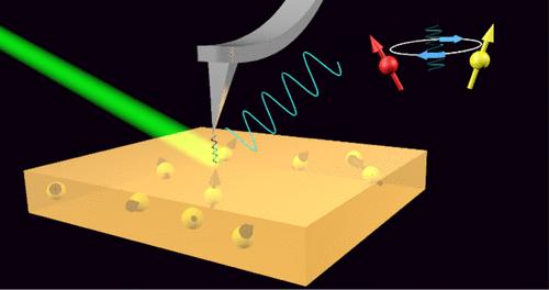 Direct Detection of the Magnetic Force and Field Coupling of Electronic Spins Using Photoinduced Magnetic Force Microscopy