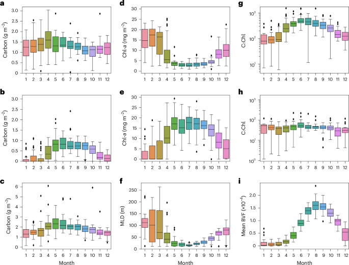 Climate variability shifts the vertical structure of phytoplankton in the Sargasso Sea