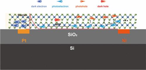 Achieving a Noise Limit with a Few-layer WSe2 Avalanche Photodetector at Room Temperature