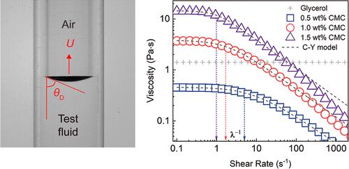 Forced Wetting of Shear-Thinning Fluids in Confined Capillaries