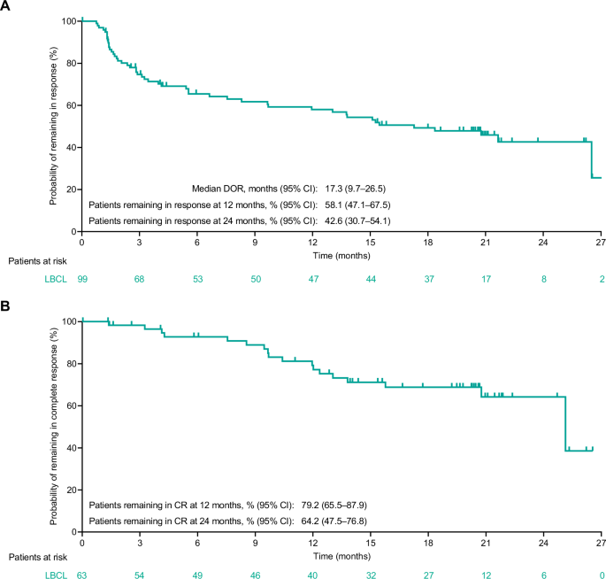 Epcoritamab in relapsed/refractory large B-cell lymphoma: 2-year follow-up from the pivotal EPCORE NHL-1 trial