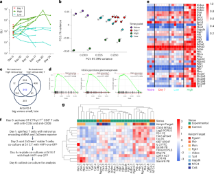 Deficiency of metabolic regulator PKM2 activates the pentose phosphate pathway and generates TCF1+ progenitor CD8+ T cells to improve immunotherapy