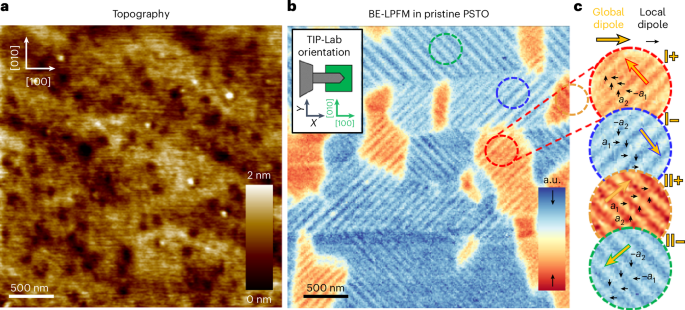 On-demand nanoengineering of in-plane ferroelectric topologies