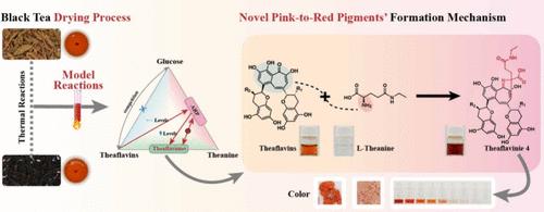 Novel Pink Pigments Produced by Thermal Interaction of Theaflavins, Theanine, and Glucose: Color Formation, Isolation, and Structural Characterization