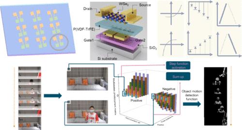 Object Motion Detection Enabled by Reconfigurable Neuromorphic Vision Sensor under Ferroelectric Modulation