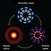 Theory of Stimulated Brillouin Scattering in Fibers for Highly Multimode Excitations