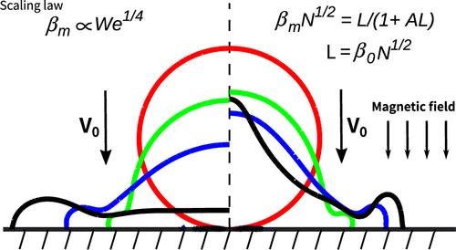 Numerical Simulation of Maximum Spreading of an Impacting Ferrofluid Droplet under a Vertical Magnetic Field