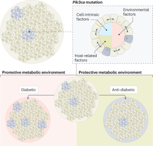 Host physiology shapes the mutational landscape of normal and carcinogenic tissue