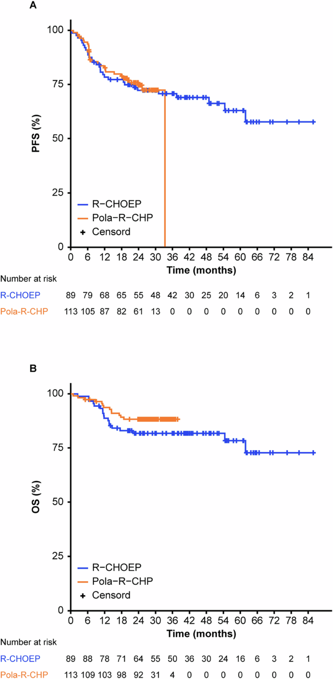 Pola-R-CHP or R-CHOEP for first-line therapy of younger patients with high-risk diffuse large B-cell lymphoma: a retrospective comparison of two randomized phase 3 trials