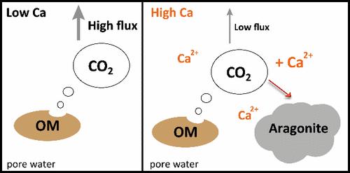 Reduced CO2 Release from Arctic Soils Due to CO2 Binding to Calcium Forming Aragonite