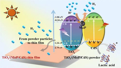 Enhanced Photocatalytic Hydrogen Production Activity Driven by TiO2/(MoP/CdS): Insights from Powder Particles to Thin Films