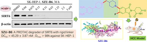 Discovery of Novel PROTAC SIRT6 Degraders with Potent Efficacy against Hepatocellular Carcinoma