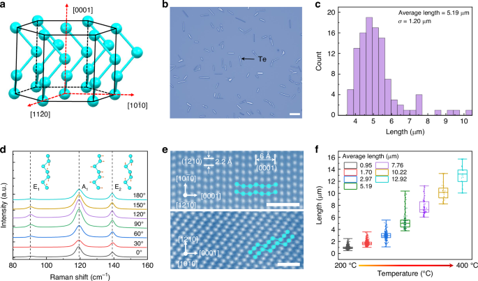 Giant infrared bulk photovoltaic effect in tellurene for broad-spectrum neuromodulation