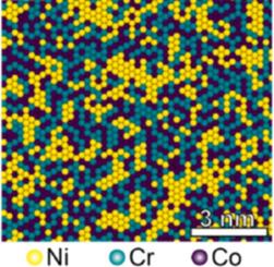 Compositional fluctuation and local chemical ordering in multi-principal element alloys