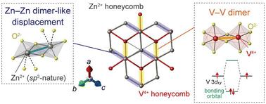 ZnVO3: an ilmenite-type vanadium oxide hosting robust V–V dimers