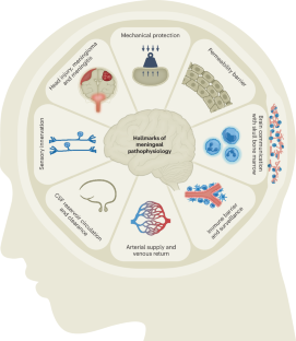 Advances and controversies in meningeal biology